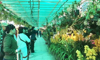 Đông đảo du khách tham quan khu vực triển lãm hoa lan