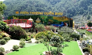 Vườn thượng uyển bay