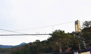 Một góc công trình cầu đáy kính