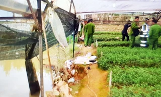 Đôi tình nhân ôm nhau chết trong hồ nước, quanh người quấn dây điện