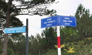 Đặt tên các loài hoa cho đường phố Đà lạt