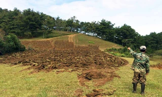 Vườn quốc gia Bidoup-Núi Bà bị xâm hại