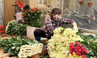 Sơ chế hoa hồng 