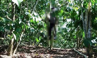 Hiện trường vụ việc