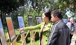 giới trẻ xem triển lãm