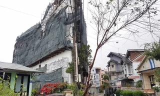 Khách sạn này cao hơn hẳn các căn nhà cùng dãy phố