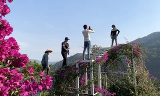 Giới trẻ hào hứng check in ở Đà Lạt 