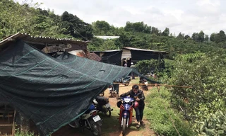 Khu vực các đối tượng tổ chức đá gà ăn tiền.