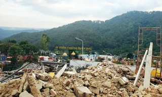 Tháo dỡ Vườn Thượng uyển bay