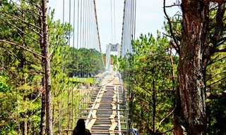 Cầu đáy kính không phép dài tới 255m