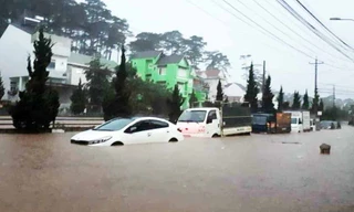 Hàng loạt ô tô bị ngập, chết máy trên đường