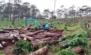 Huy động xe cơ giới để "khai quật" thông bị chôn giáu dưới hố.