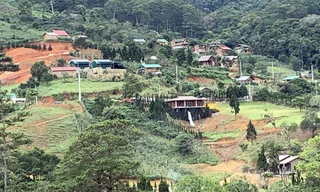 Ngôi làng "mọc" trái phép trên đất lâm nghiệp