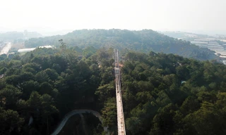 Cây cầu dài hun hút xây không phép