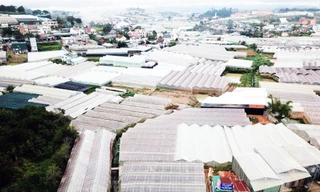 Lấp hồ để làm nhà kính