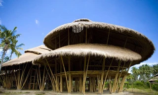Green School - ngôi trường làm từ tre độc nhất thế giới