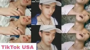 TikTok đã được download hơn 110 triệu lượt ở Mỹ. Ảnh: PlayTube.
