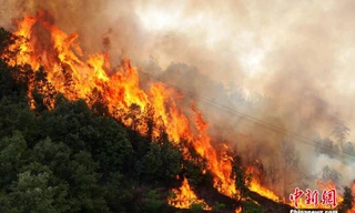 Cháy rừng ở Tứ Xuyên