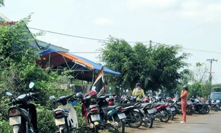 Xác bé trai kẹt vào rễ cây dưới suối