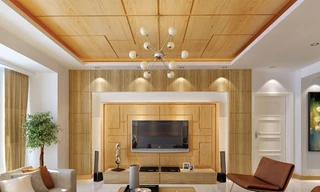 Hoa Sen ra mắt loại tôn vân gỗ