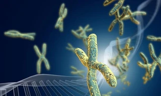  Vì sao con người không trường sinh bất tử? 