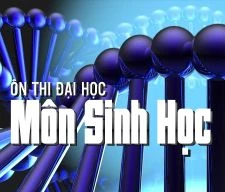 Ôn thi đại học môn Sinh: Đột biến gen