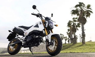 Điểm nhấn của Honda MSX125 phiên bản 2014 là một số thay đổi đáng kể về mặt thiết kế.