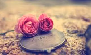 Chùm thơ tình ngày Valentine
