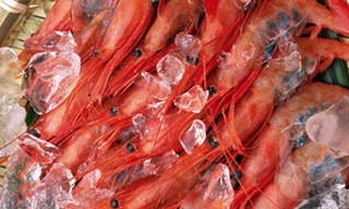 Lợi ích của thực phẩm đông lạnh