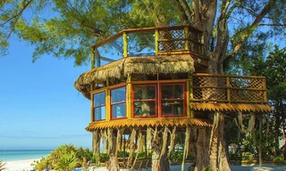 Ngắm nhà cây tuyệt đẹp trên thế giới