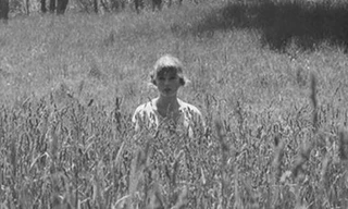 Cảm nhận “exile” (Taylor Swift): Lắng nghe là điều cần nhất cho một cuộc tình bền vững