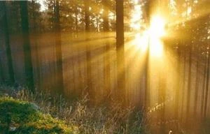 Nam Bộ nắng nóng kèm mưa dông lớn