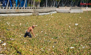 Đến lượt Bãi Trước, TP Vũng Tàu xuất hiện 'hình ảnh chưa từng thấy'