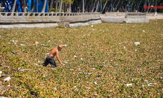 Đến lượt Bãi Trước, TP Vũng Tàu xuất hiện 'hình ảnh chưa từng thấy'