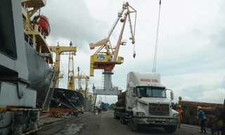 Giá dầu diesel ngang giá xăng, vận tải hạng nặng kêu khó 