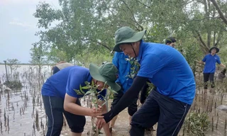 Nổi chìm văn hóa Cù lao: Chuyện cồn Đất cuối dòng Mê Kông 