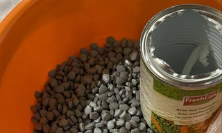 Cảnh báo ma túy trộn trong thực phẩm tiếp cận giới trẻ 