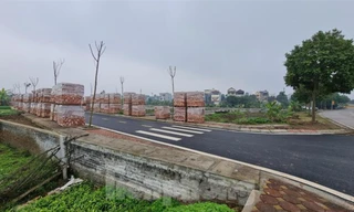 Liên tiếp phát hiện sai phạm trong đấu giá quyền sử dụng đất: Cách nào bịt lỗ hổng? 