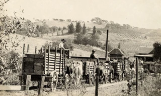 Vị samurai huyền thoại ở California