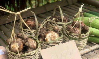 'Quán tự giác' thu hút khách du lịch