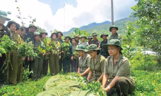 Thước phim đưa đồng đội trở về 