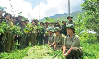 Thước phim đưa đồng đội trở về 