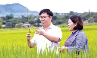 Krông Nô về đích sớm thu ngân sách 