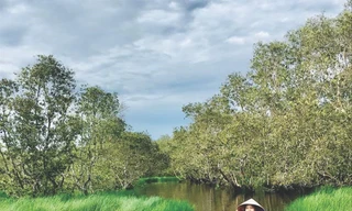 Đánh thức U Minh hạ 