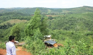 Đi tìm đất rừng 135 thành 'vườn nhà cán bộ'