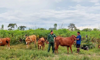 Khơi mạch nguồn Tây Nguyên, Kỳ 2: Thế trận lòng dân 