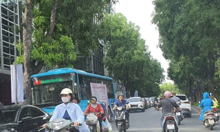 Xe buýt và những kẽo kẹt dịu dàng 