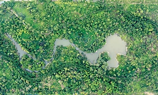 Vườn thực vật Hà Nội - Khu rừng sinh thái giữa lòng Thủ đô