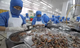 Quy định kiểm dịch vô lý, doanh nghiệp tốn trăm tỷ/năm 