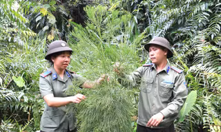 Vào vương quốc thủy tùng - Kỳ 2: Rừng là ngôi nhà thứ 2 